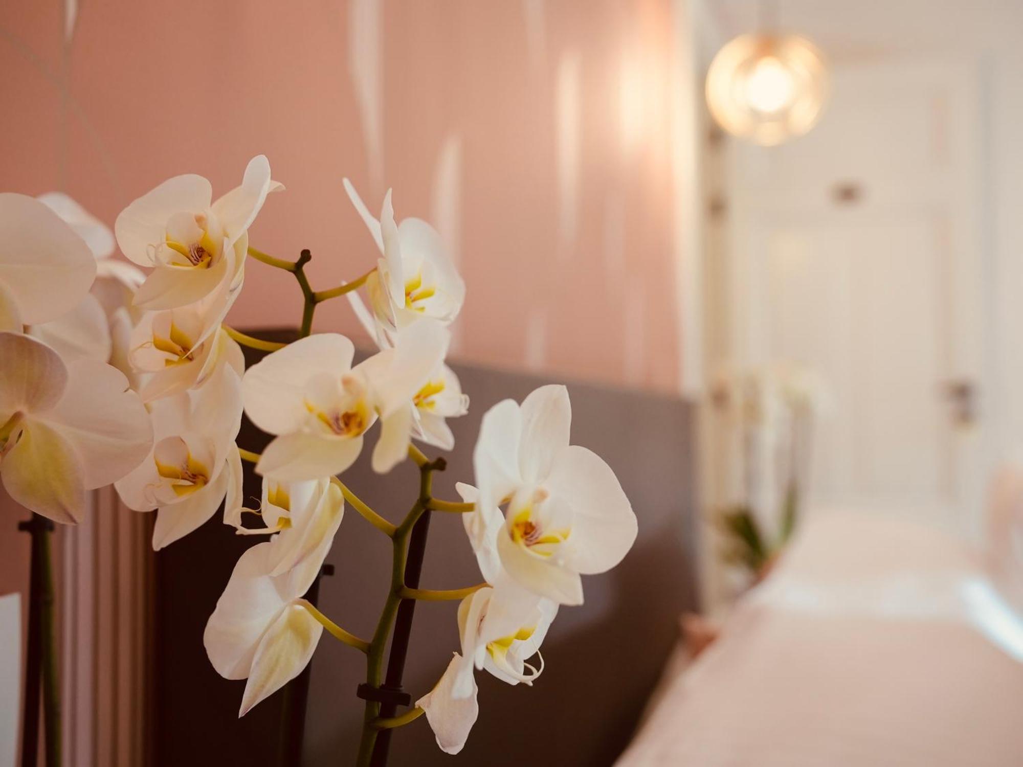 L'Amarante Chambres D'Hotes Ou Gite Citadin Theux Exterior foto